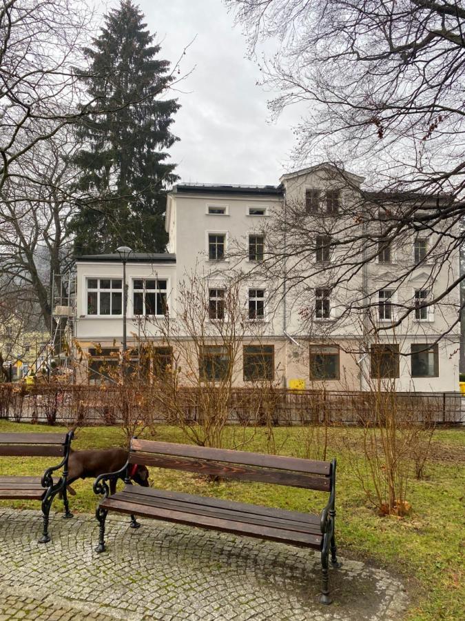 Cienista 7 Apartments Lądek-Zdrój Dış mekan fotoğraf